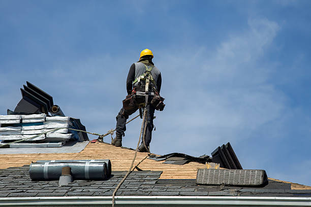 Professional Roof Replacement technician working in Whitakers, NC